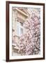 Pink Spring Magnolias in Paris-Carina Okula-Framed Photographic Print