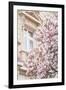 Pink Spring Magnolias in Paris-Carina Okula-Framed Photographic Print