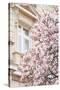 Pink Spring Magnolias in Paris-Carina Okula-Stretched Canvas