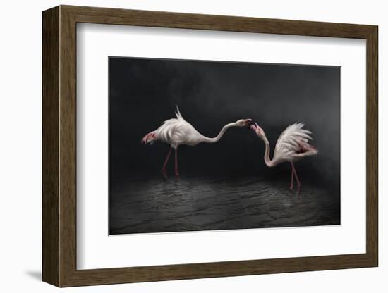 Pink strategy-Martine Benezech-Framed Photographic Print