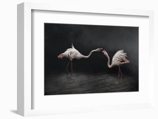 Pink strategy-Martine Benezech-Framed Photographic Print
