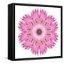 Pink Strawflower Flower Kaleidoscope-tr3gi-Framed Stretched Canvas