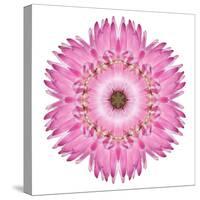 Pink Strawflower Flower Kaleidoscope-tr3gi-Stretched Canvas