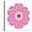 Pink Strawflower Flower Kaleidoscope-tr3gi-Stretched Canvas