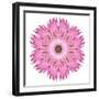 Pink Strawflower Flower Kaleidoscope-tr3gi-Framed Premium Giclee Print