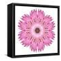 Pink Strawflower Flower Kaleidoscope-tr3gi-Framed Stretched Canvas