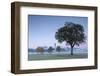 Pink sunrise and mist of autumn on St. Coloman Church framed by snowy peaks, Schwangau, Bavaria, Ge-Roberto Moiola-Framed Photographic Print