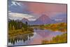 Pink sunrise in autumn, Oxbow, Grand Teton National Park, Wyoming, USA-Michel Hersen-Mounted Photographic Print