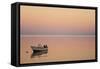 Pink Sunrise with Small Boat in the Ocean, Ifaty, Tulear, Madagascar-Anthony Asael-Framed Stretched Canvas