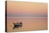 Pink Sunrise with Small Boat in the Ocean, Ifaty, Tulear, Madagascar-Anthony Asael-Stretched Canvas