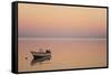 Pink Sunrise with Small Boat in the Ocean, Ifaty, Tulear, Madagascar-Anthony Asael-Framed Stretched Canvas