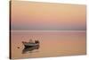 Pink Sunrise with Small Boat in the Ocean, Ifaty, Tulear, Madagascar-Anthony Asael-Stretched Canvas