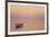 Pink Sunrise with Small Boat in the Ocean, Ifaty, Tulear, Madagascar-Anthony Asael-Framed Photographic Print