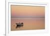 Pink Sunrise with Small Boat in the Ocean, Ifaty, Tulear, Madagascar-Anthony Asael-Framed Photographic Print