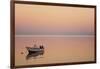 Pink Sunrise with Small Boat in the Ocean, Ifaty, Tulear, Madagascar-Anthony Asael-Framed Photographic Print