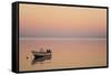 Pink Sunrise with Small Boat in the Ocean, Ifaty, Tulear, Madagascar-Anthony Asael-Framed Stretched Canvas