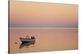 Pink Sunrise with Small Boat in the Ocean, Ifaty, Tulear, Madagascar-Anthony Asael-Stretched Canvas