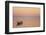 Pink Sunrise with Small Boat in the Ocean, Ifaty, Tulear, Madagascar-Anthony Asael-Framed Photographic Print