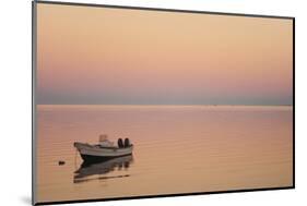 Pink Sunrise with Small Boat in the Ocean, Ifaty, Tulear, Madagascar-Anthony Asael-Mounted Photographic Print