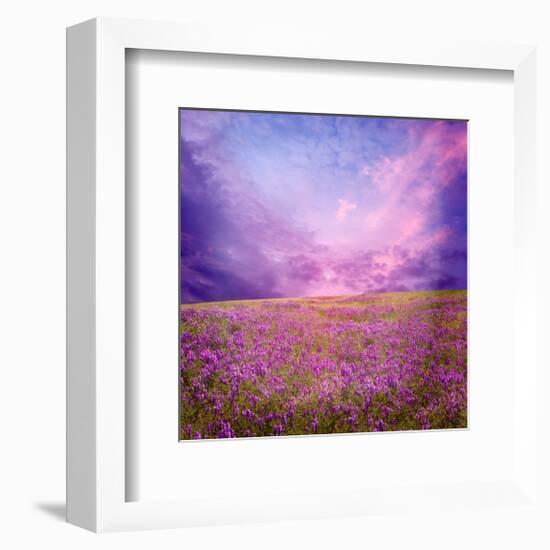 Pink Sunset in Flower Field-null-Framed Art Print