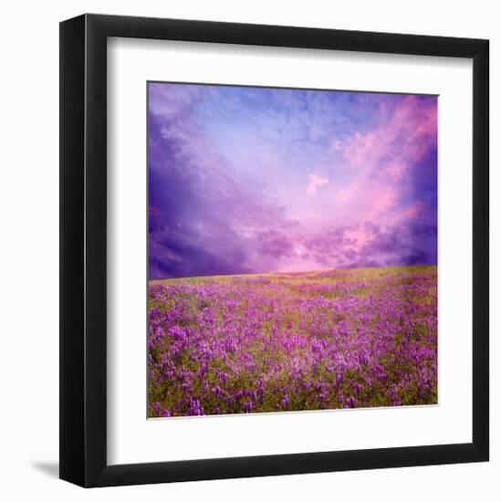 Pink Sunset in Flower Field-null-Framed Art Print