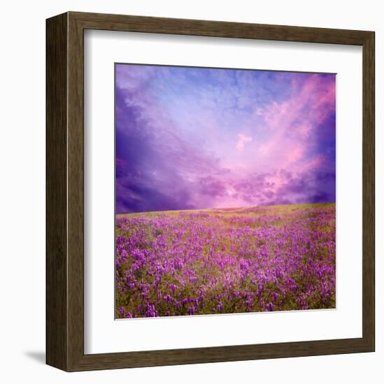 Pink Sunset in Flower Field-null-Framed Art Print