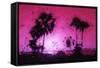 Pink Sunset - In the Style of Oil Painting-Philippe Hugonnard-Framed Stretched Canvas