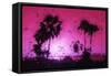 Pink Sunset - In the Style of Oil Painting-Philippe Hugonnard-Framed Stretched Canvas