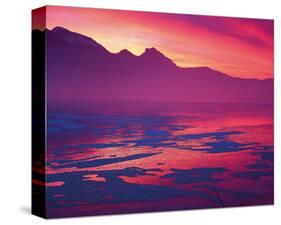 Pink Sunset-null-Stretched Canvas