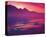 Pink Sunset-null-Stretched Canvas