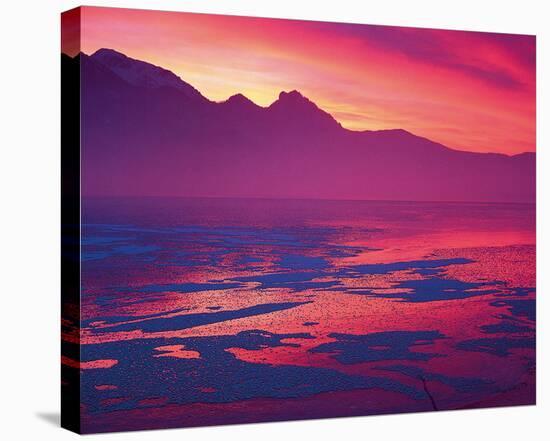 Pink Sunset-null-Stretched Canvas