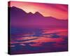 Pink Sunset-null-Stretched Canvas