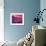 Pink Sunset-null-Framed Art Print displayed on a wall