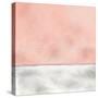 Pink Sunset-Ann Bailey-Stretched Canvas