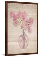 Pink Sweet Peas-Cora Niele-Framed Photographic Print