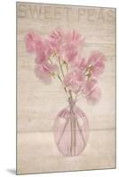 Pink Sweet Peas-Cora Niele-Mounted Premium Photographic Print