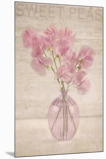 Pink Sweet Peas-Cora Niele-Mounted Premium Photographic Print