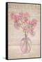 Pink Sweet Peas-Cora Niele-Framed Stretched Canvas