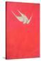 Pink Swoop; Gyr Falcon-Tim Hayward-Stretched Canvas