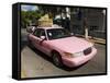 Pink Taxis, Duval Street, Key West, Florida, USA-R H Productions-Framed Stretched Canvas