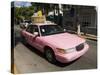 Pink Taxis, Duval Street, Key West, Florida, USA-R H Productions-Stretched Canvas