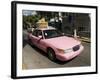 Pink Taxis, Duval Street, Key West, Florida, USA-R H Productions-Framed Photographic Print