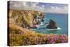 Pink Thrift Flowers, Bedruthan Steps, Newquay, Cornwall, England, United Kingdom-Billy Stock-Stretched Canvas