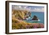 Pink Thrift Flowers, Bedruthan Steps, Newquay, Cornwall, England, United Kingdom-Billy Stock-Framed Photographic Print