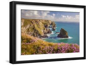 Pink Thrift Flowers, Bedruthan Steps, Newquay, Cornwall, England, United Kingdom-Billy Stock-Framed Photographic Print