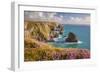 Pink Thrift Flowers, Bedruthan Steps, Newquay, Cornwall, England, United Kingdom-Billy Stock-Framed Photographic Print