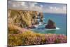 Pink Thrift Flowers, Bedruthan Steps, Newquay, Cornwall, England, United Kingdom-Billy Stock-Mounted Photographic Print