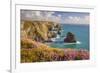 Pink Thrift Flowers, Bedruthan Steps, Newquay, Cornwall, England, United Kingdom-Billy Stock-Framed Photographic Print