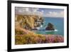 Pink Thrift Flowers, Bedruthan Steps, Newquay, Cornwall, England, United Kingdom-Billy Stock-Framed Photographic Print