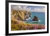 Pink Thrift Flowers, Bedruthan Steps, Newquay, Cornwall, England, United Kingdom-Billy Stock-Framed Photographic Print